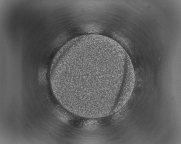 X0000075330162200610061637