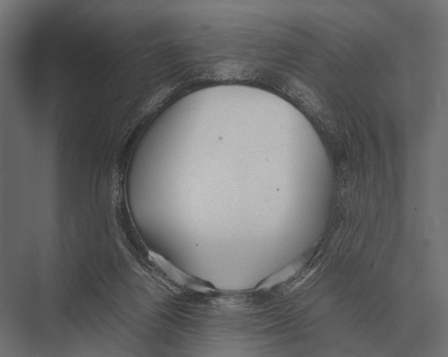 X0000075330164200610061637