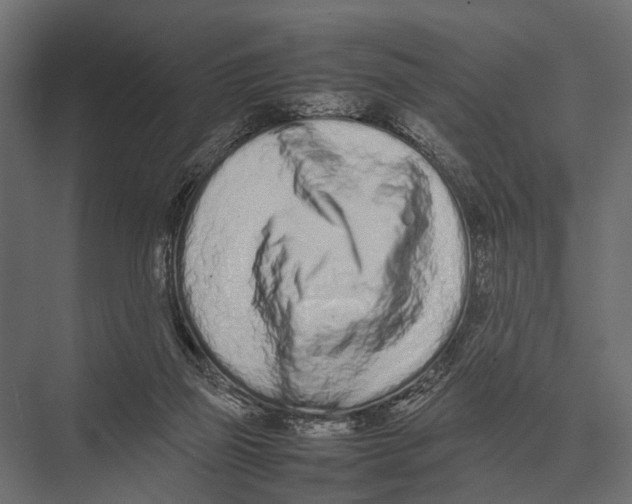 X0000075330165200610061637