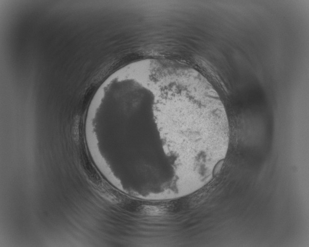 X0000075330167200610061637