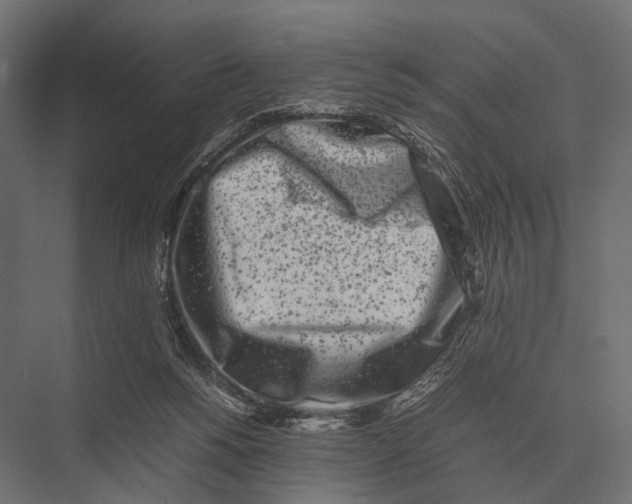 X0000075330168200610061637