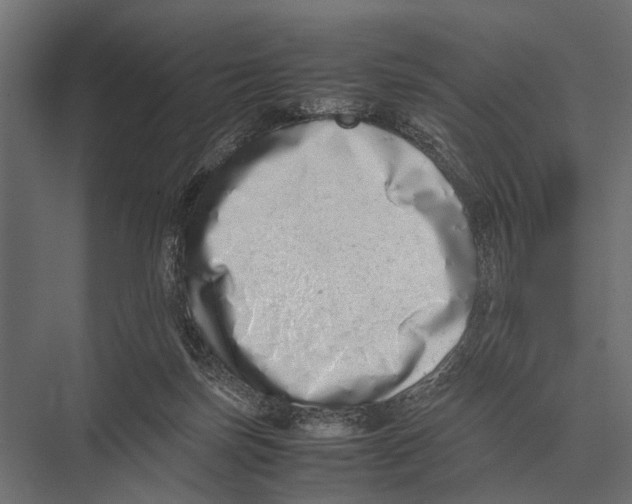 X0000075330171200610061637