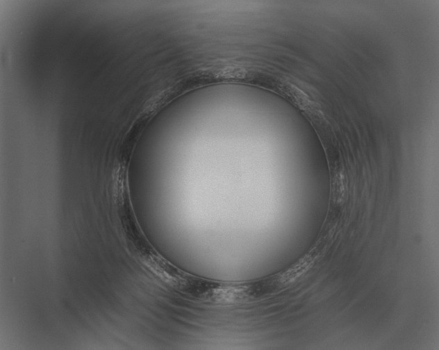 X0000075330172200610061637