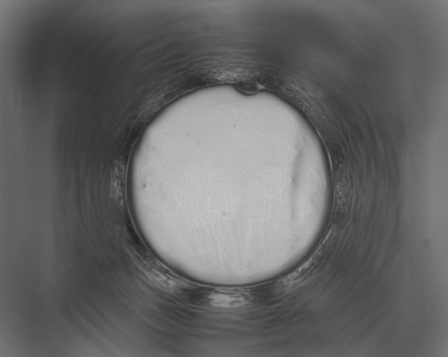 X0000075330175200610061637