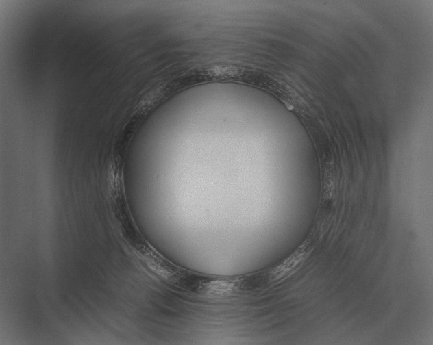 X0000075330176200610061637