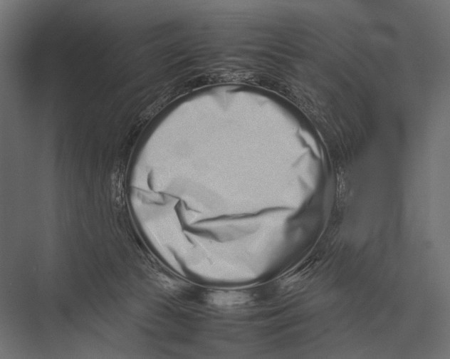 X0000075330177200610061637