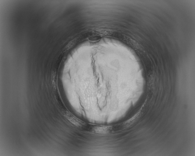 X0000075330178200610061637