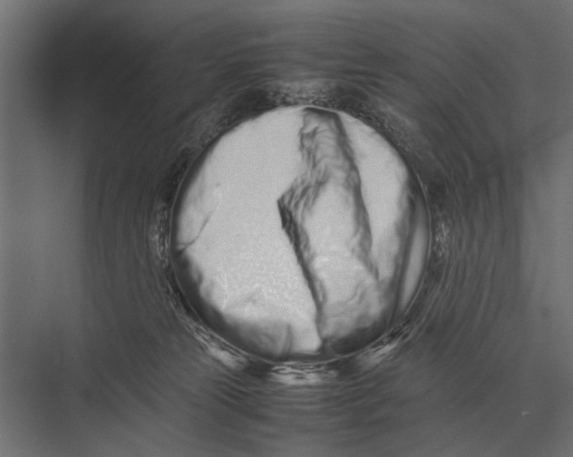 X0000075330181200610061638