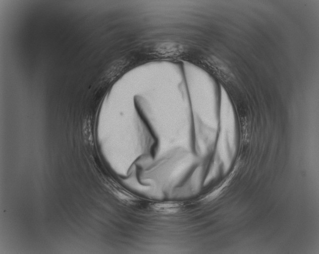 X0000075330182200610061638