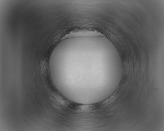 X0000075330184200610061638