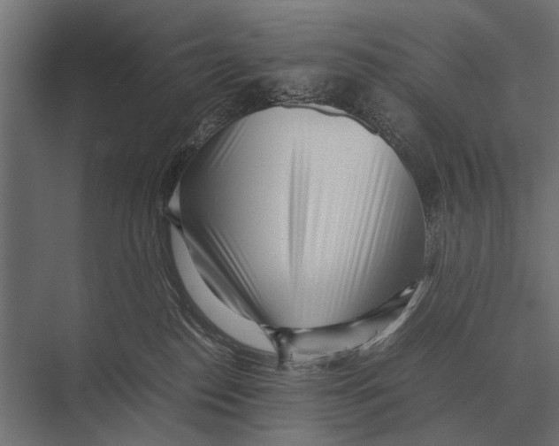 X0000075330186200610061638