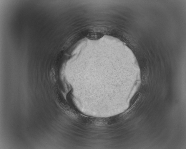 X0000075330187200610061638