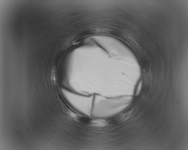 X0000075330189200610061638