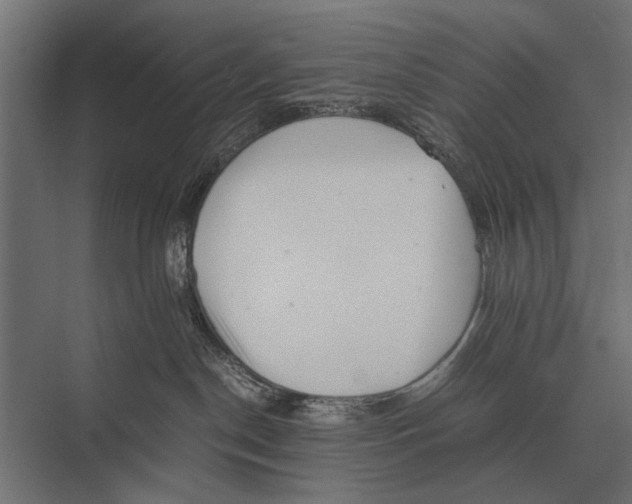 X0000075330190200610061638