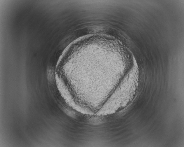 X0000075330191200610061638