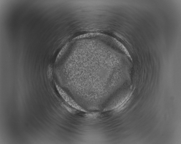 X0000075330192200610061638