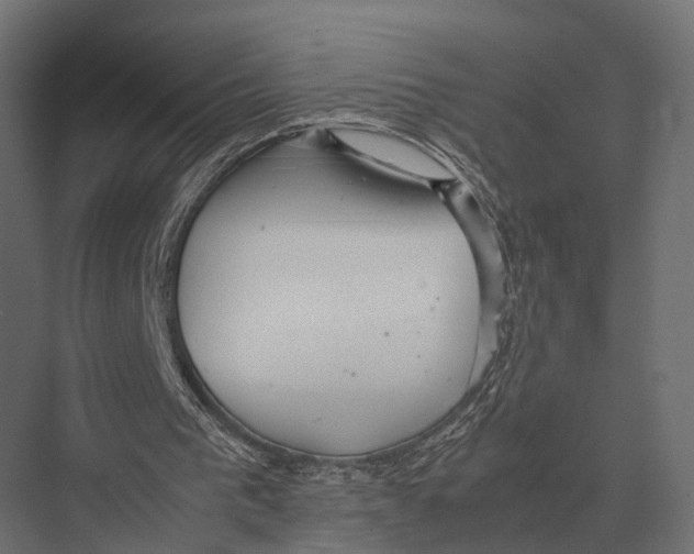 X0000075330193200610061637