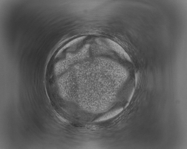 X0000075330195200610061637