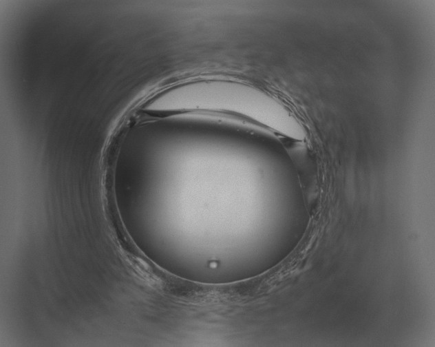 X0000075330197200610061637