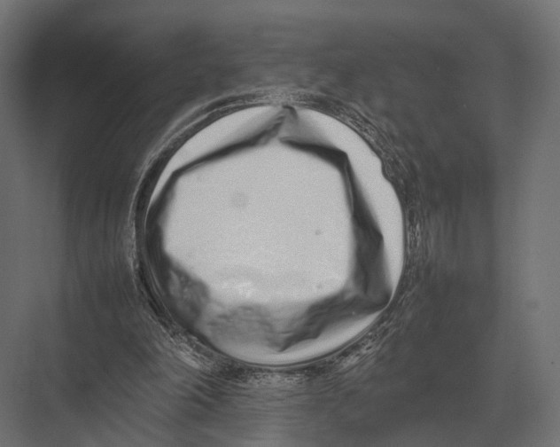 X0000075330198200610061637