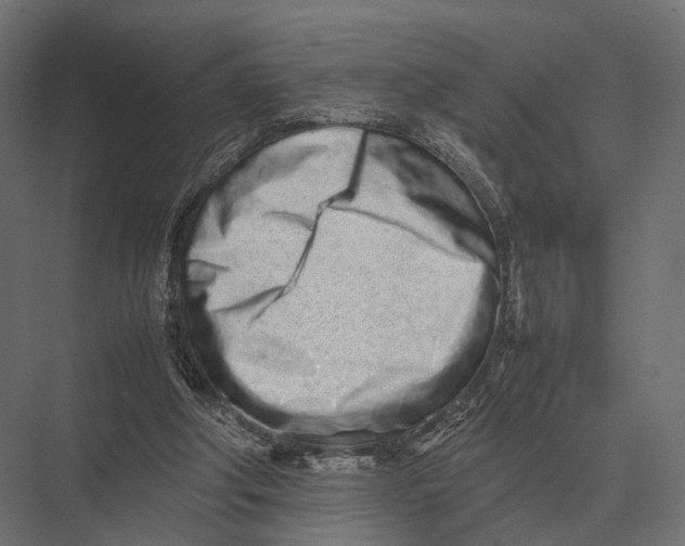 X0000075330202200610061637