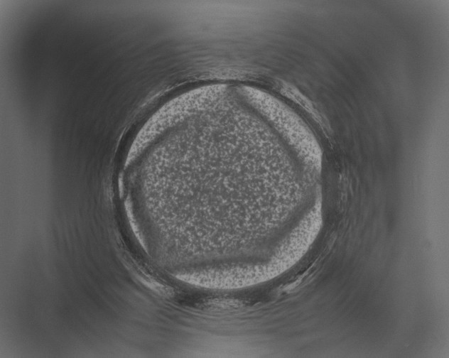 X0000075330203200610061637