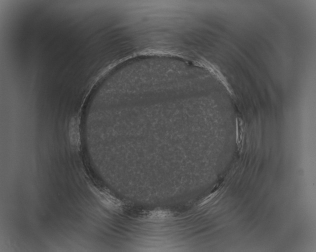 X0000075330204200610061637