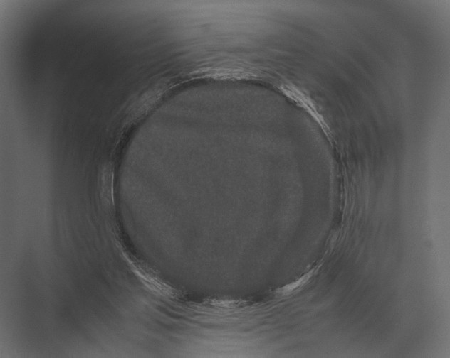 X0000075330205200610061637