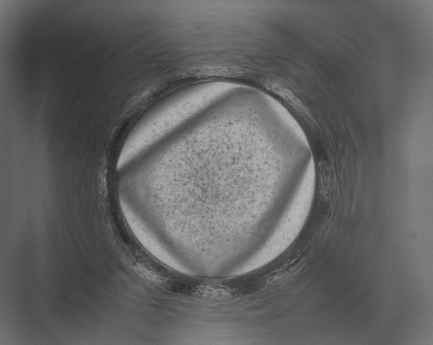 X0000075330207200610061637