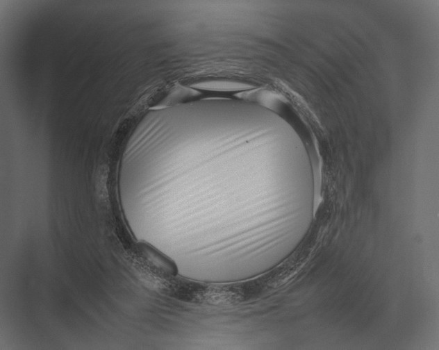 X0000075330209200610061637