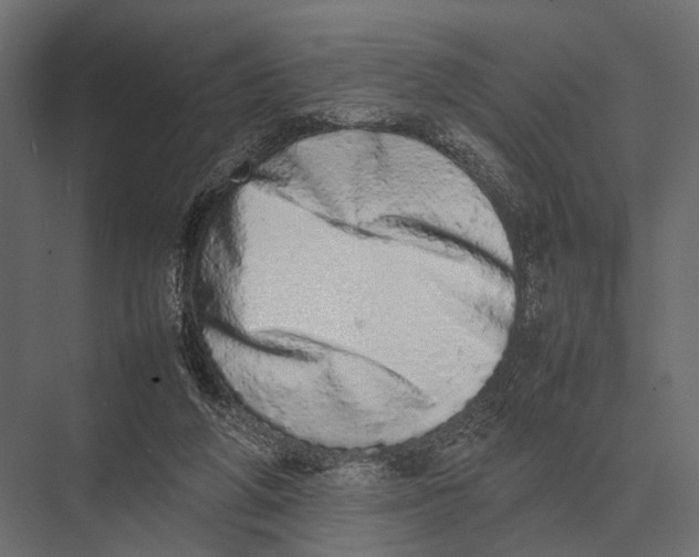 X0000075330210200610061637