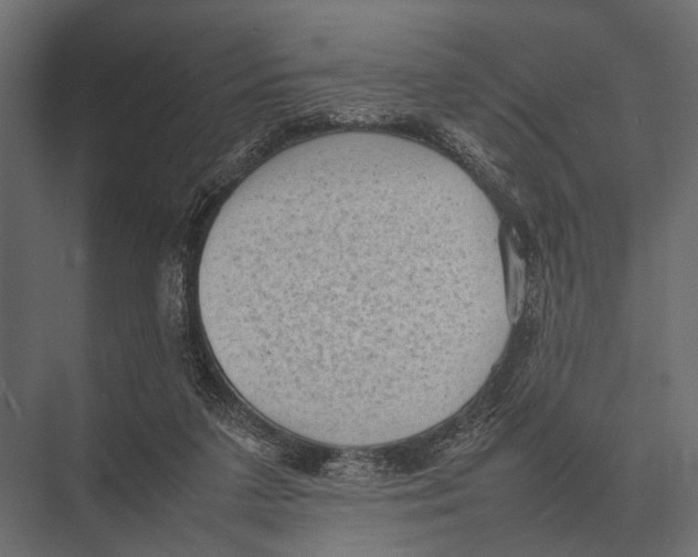 X0000075330211200610061637