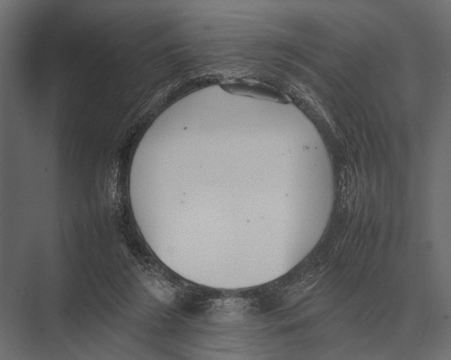 X0000075330212200610061637