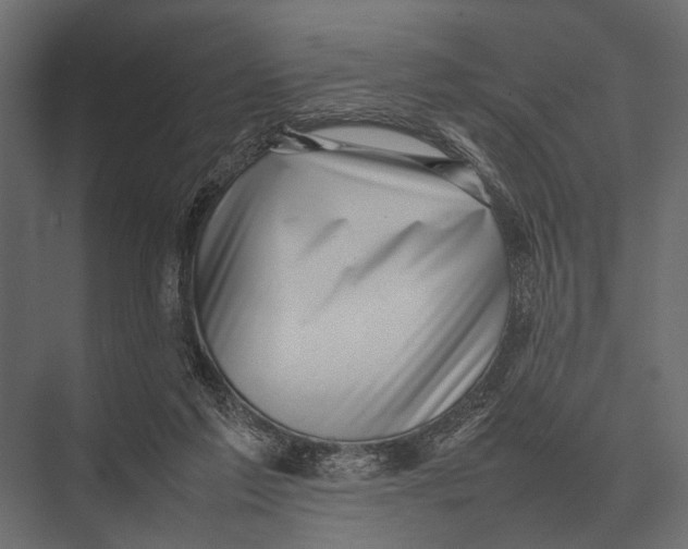 X0000075330213200610061637