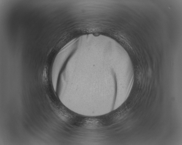 X0000075330214200610061637