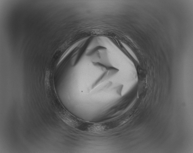 X0000075330217200610061636