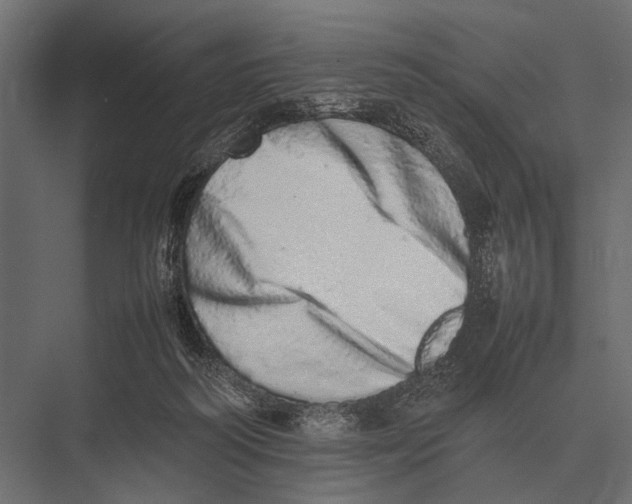 X0000075330218200610061636