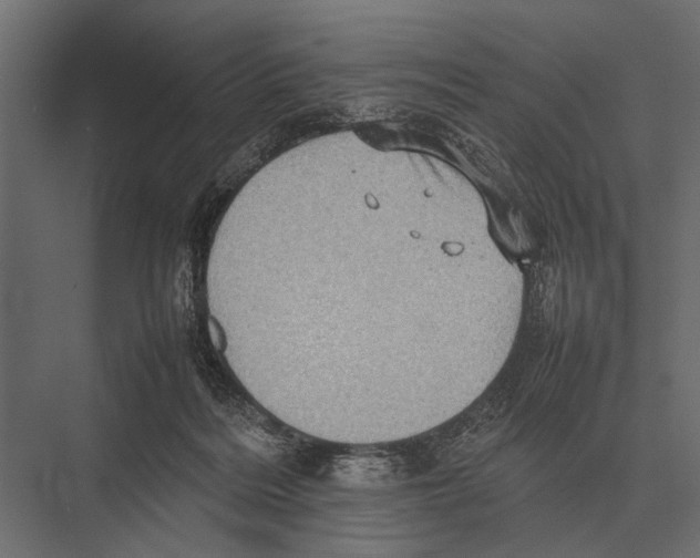 X0000075330220200610061636