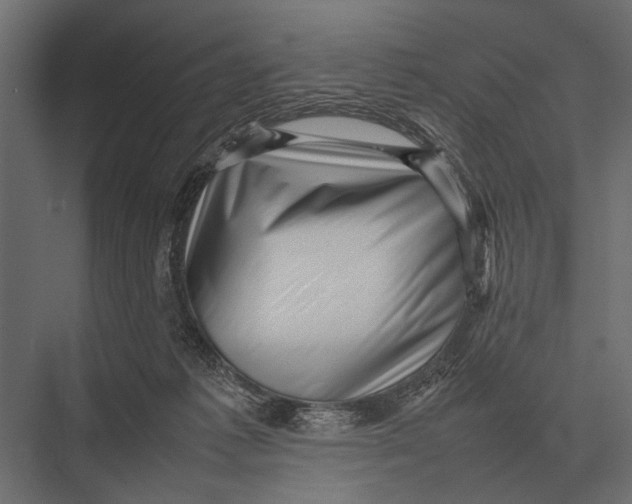 X0000075330221200610061636