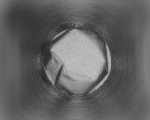 X0000075330222200610061636