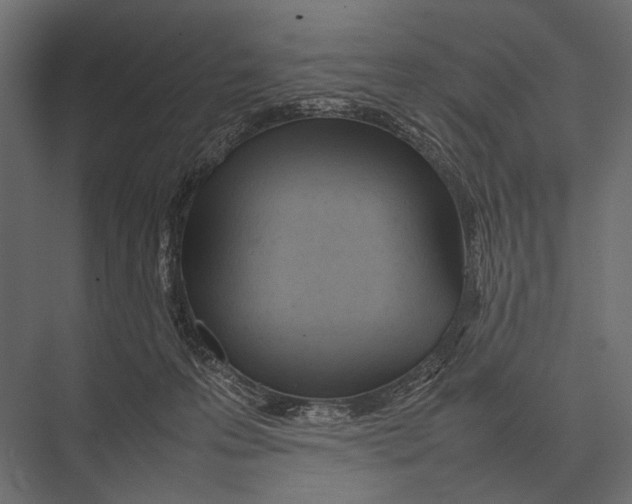 X0000075330223200610061636