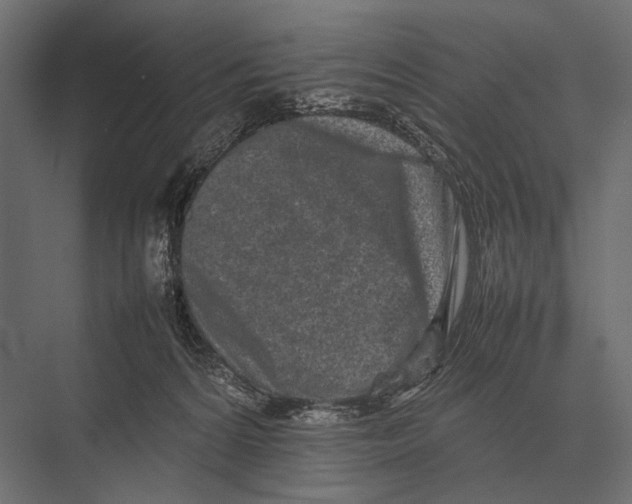 X0000075330224200610061636