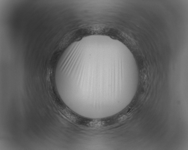 X0000075330225200610061636