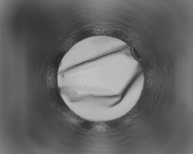 X0000075330226200610061636