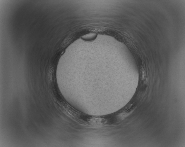 X0000075330227200610061636