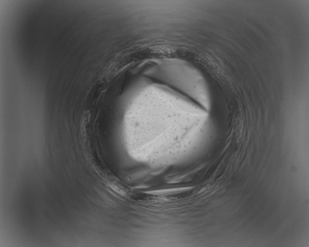 X0000075330229200610061636