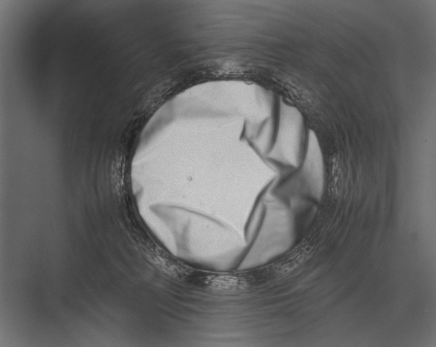 X0000075330230200610061636