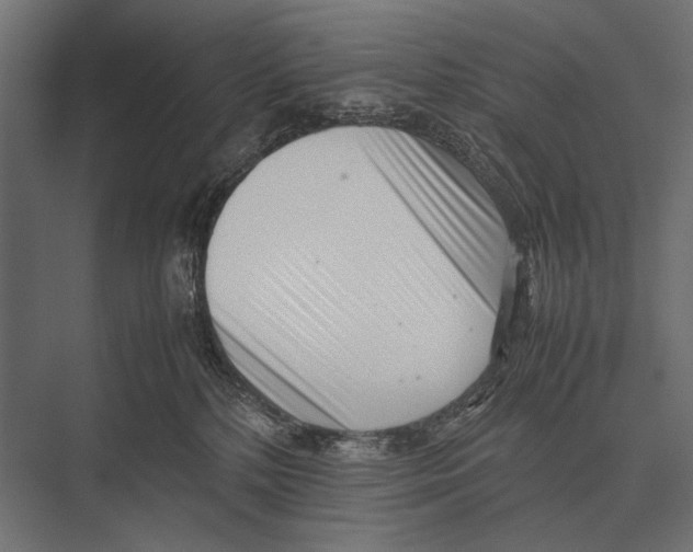 X0000075330232200610061636