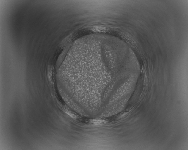 X0000075330233200610061636