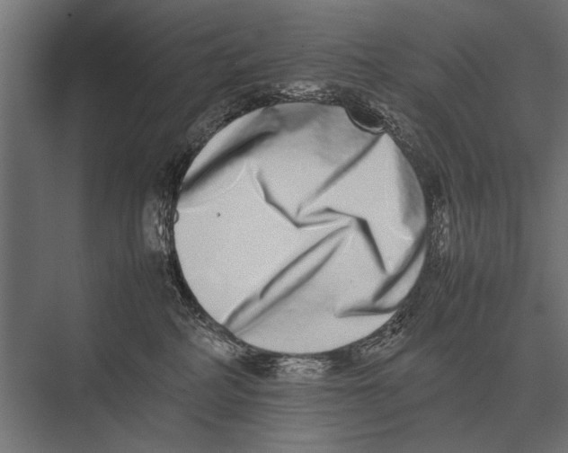 X0000075330234200610061636